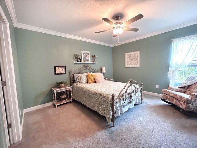 16964 FORGE SURF STREET, Land O Lakes, FL 34638