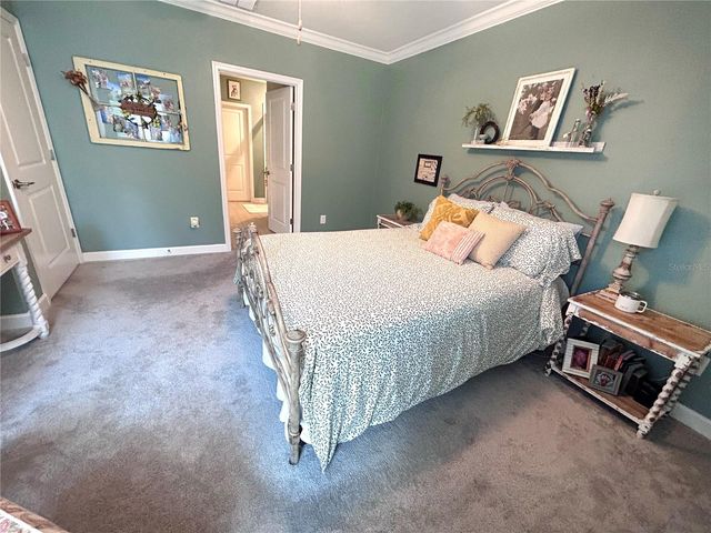 16964 FORGE SURF STREET, Land O Lakes, FL 34638