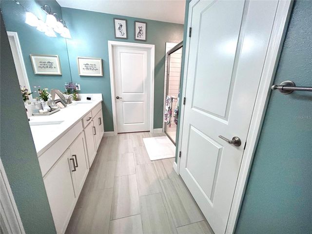 16964 FORGE SURF STREET, Land O Lakes, FL 34638