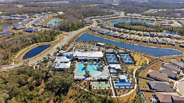 16964 FORGE SURF STREET, Land O Lakes, FL 34638