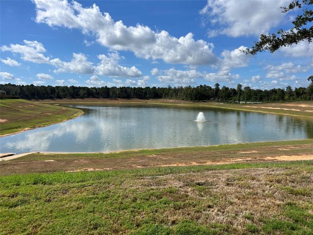 16154 Sugar Falls Drive, Conroe, TX 77303