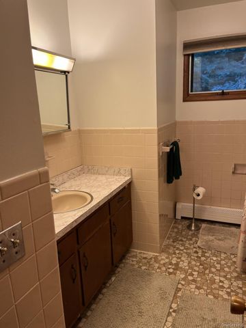 41 Mountain Drive, Pleasant Valley, NY 12569