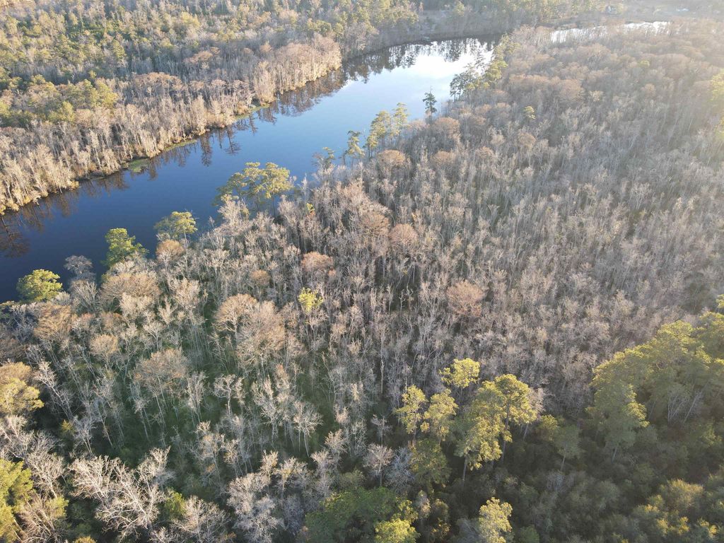 TBD5 Francis Marion Dr., Georgetown, SC 29440 — photo 5