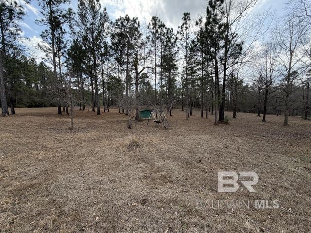 19225 Joan Harris Road, Mount Vernon, AL 36560