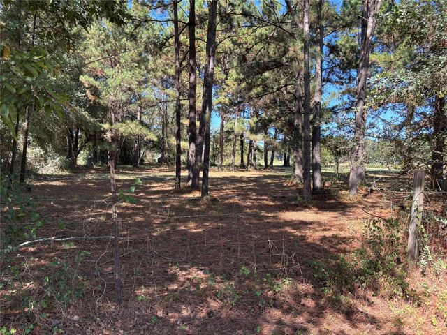 TBD Possum Walk Loop, Huntsville, TX 77340