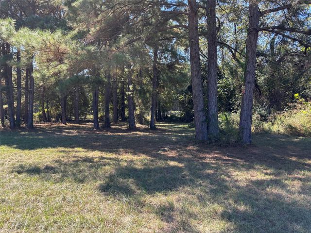 TBD Possum Walk Loop, Huntsville, TX 77340