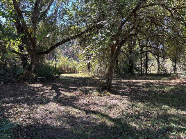 TBD Possum Walk Loop, Huntsville, TX 77340