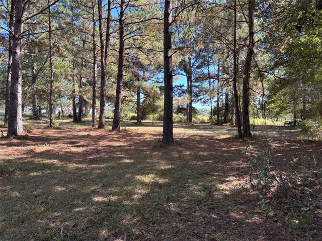 TBD Possum Walk Loop, Huntsville, TX 77340