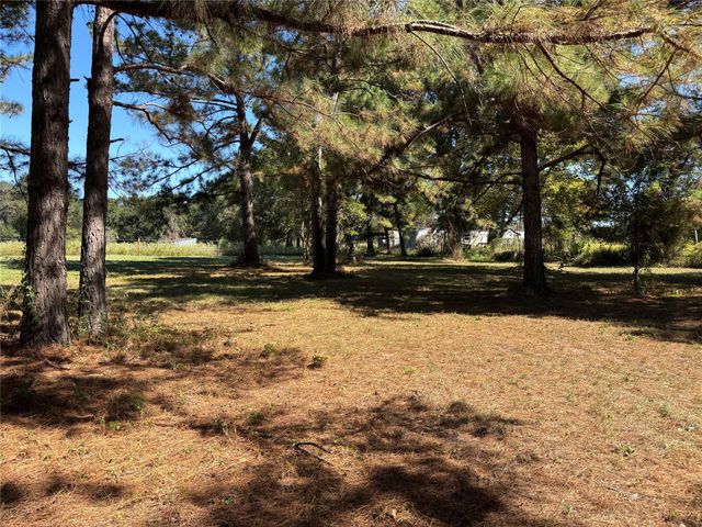 TBD Possum Walk Loop, Huntsville, TX 77340