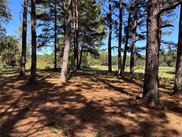 TBD Possum Walk Loop, Huntsville, TX 77340