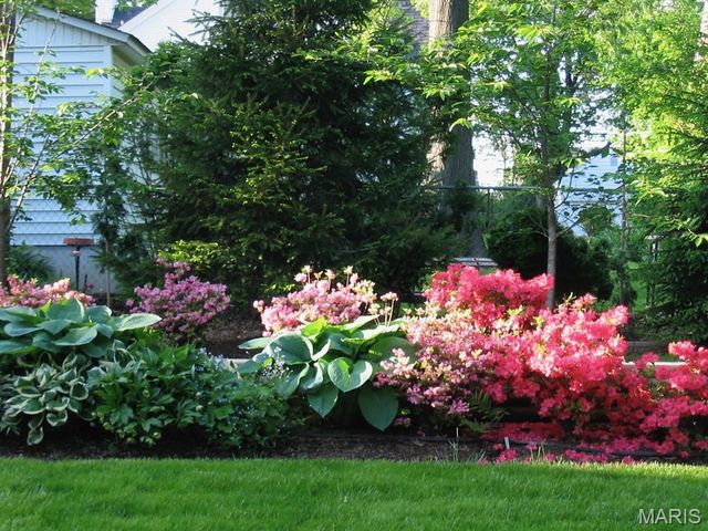 1009 Joanna Avenue, Glendale, MO 63122