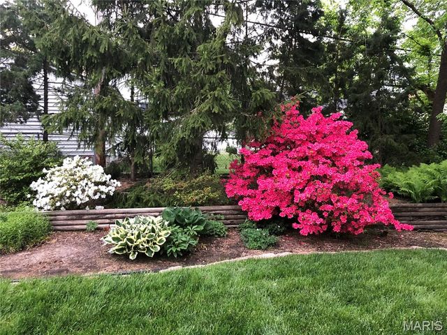 1009 Joanna Avenue, Glendale, MO 63122