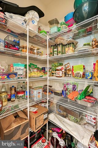 13439 PETREL ST, Clarksburg, MD 20871