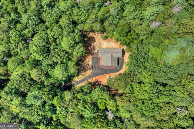 200 W Goldmine Road, Ellijay, GA 30536