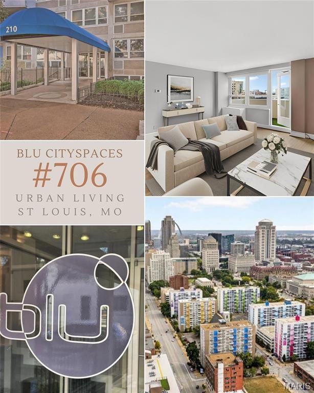 210 N 17th Street 706, St Louis, MO 63103