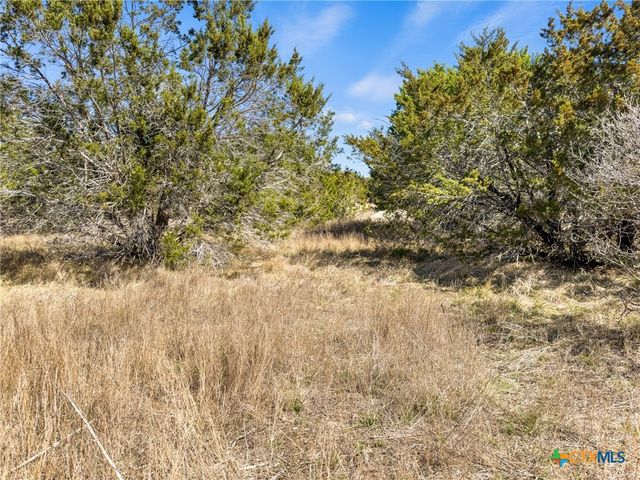 535 Left Fork Place, Spring Branch, TX 78070