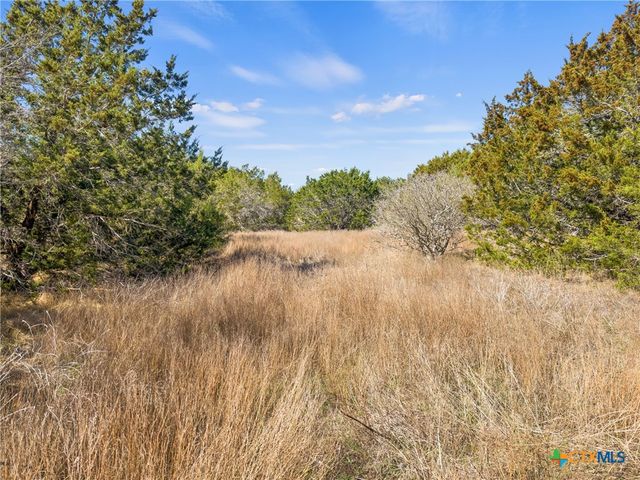 535 Left Fork Place, Spring Branch, TX 78070