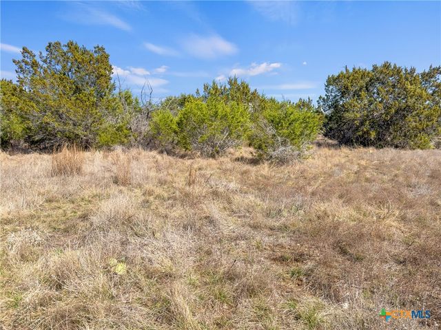 535 Left Fork Place, Spring Branch, TX 78070