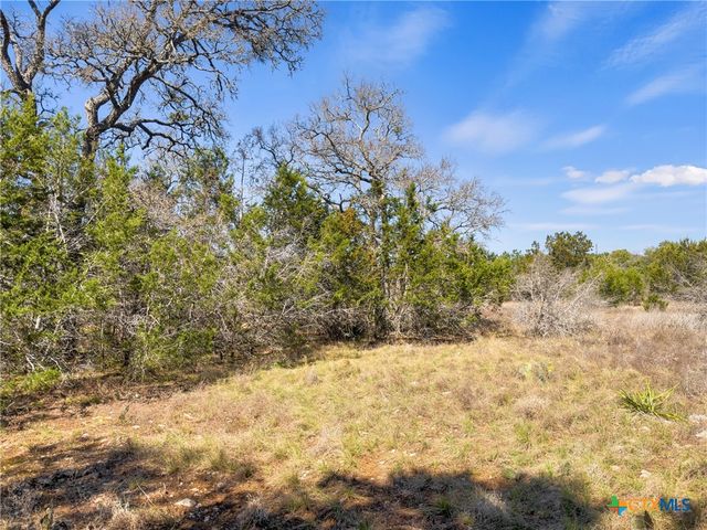 535 Left Fork Place, Spring Branch, TX 78070