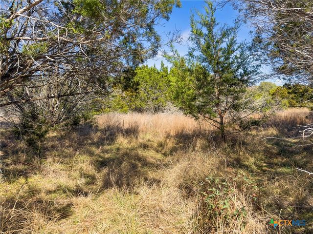 535 Left Fork Place, Spring Branch, TX 78070