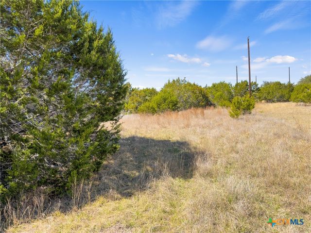 535 Left Fork Place, Spring Branch, TX 78070