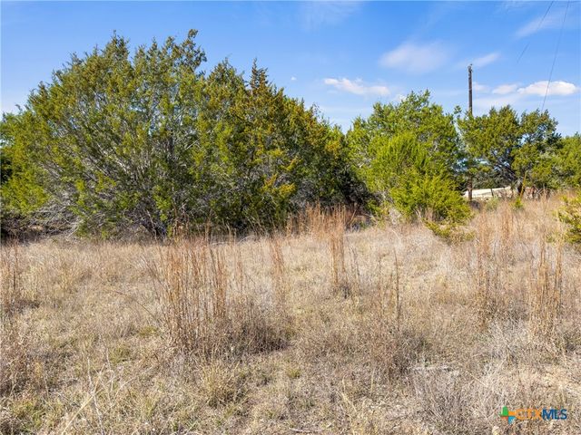 535 Left Fork Place, Spring Branch, TX 78070