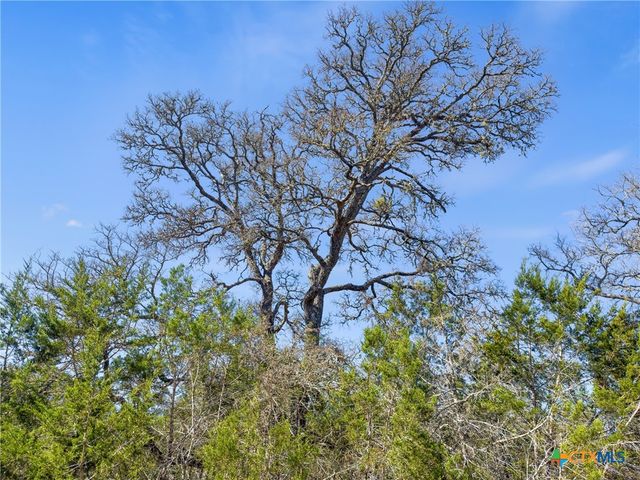 535 Left Fork Place, Spring Branch, TX 78070