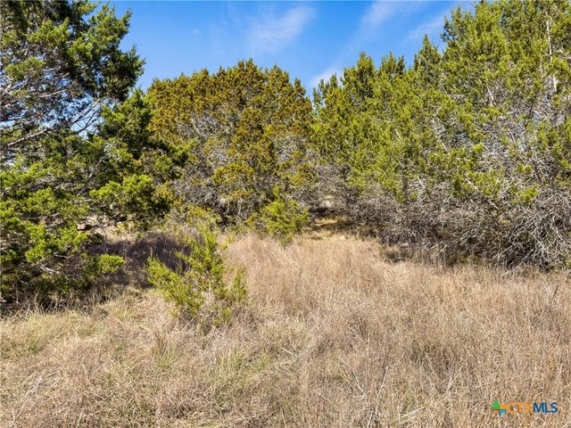 535 Left Fork Place, Spring Branch, TX 78070