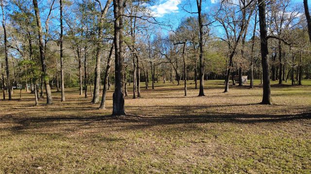 41111 Sandy Hill Road, Montgomery, TX 77316