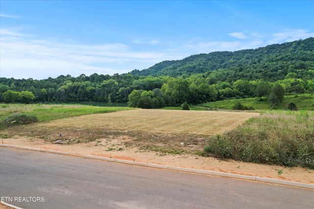 Waterfront Knoll, Sharps Chapel, TN 37866