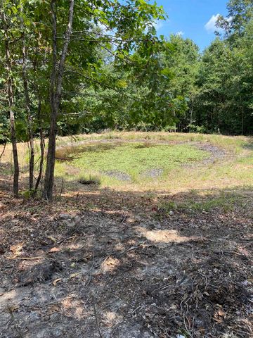 117 Lawrence 224, Imboden, AR 72434