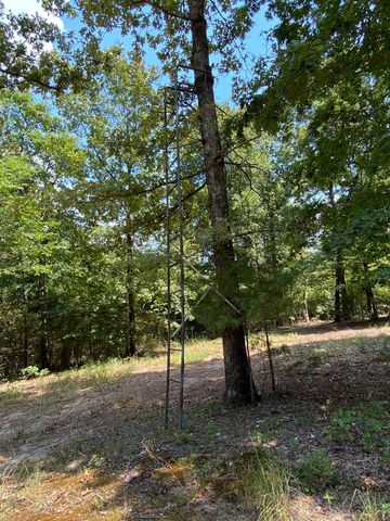 117 Lawrence 224, Imboden, AR 72434