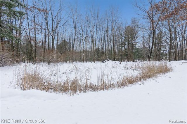 13165 Ithaca Road, Update, MI 48655