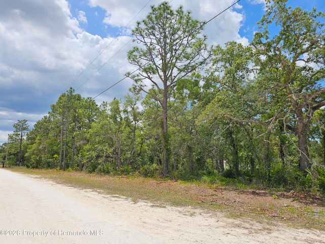 0 Song Sparrow Avenue, Weeki Wachee, FL 34614