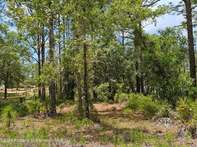 0 Song Sparrow Avenue, Weeki Wachee, FL 34614