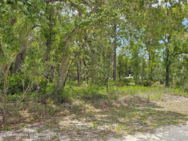 0 Song Sparrow Avenue, Weeki Wachee, FL 34614