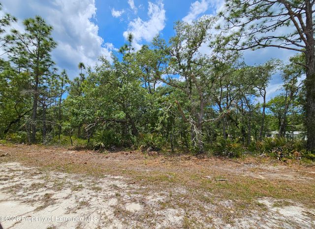 0 Song Sparrow Avenue, Weeki Wachee, FL 34614
