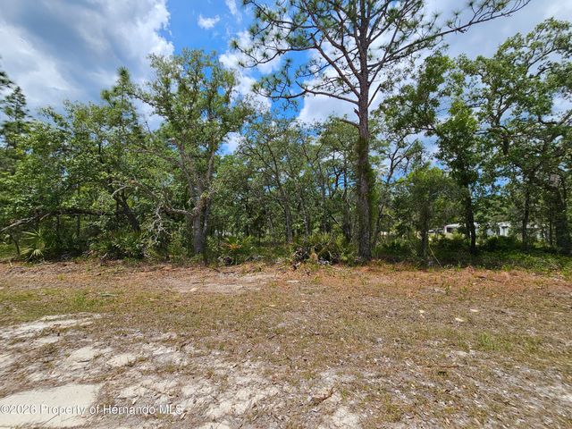 0 Song Sparrow Avenue, Weeki Wachee, FL 34614