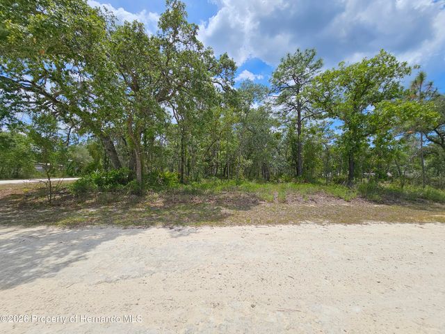 0 Song Sparrow Avenue, Weeki Wachee, FL 34614