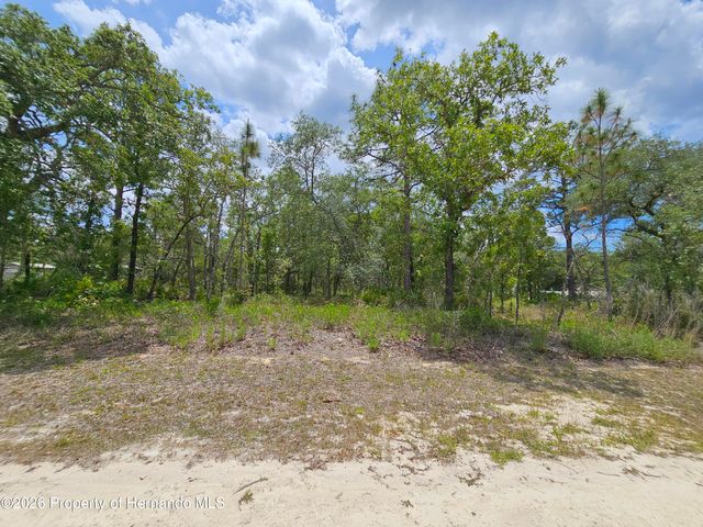 0 Song Sparrow Avenue, Weeki Wachee, FL 34614