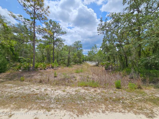 0 Song Sparrow Avenue, Weeki Wachee, FL 34614