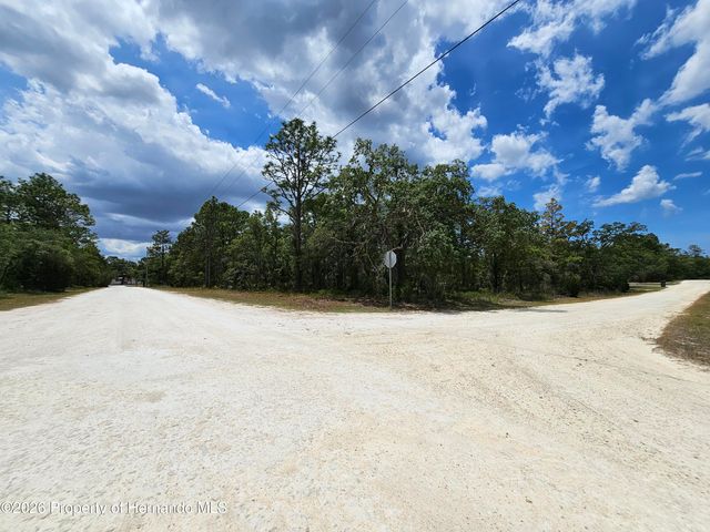 0 Song Sparrow Avenue, Weeki Wachee, FL 34614