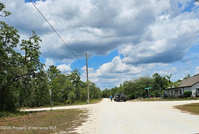 0 Song Sparrow Avenue, Weeki Wachee, FL 34614