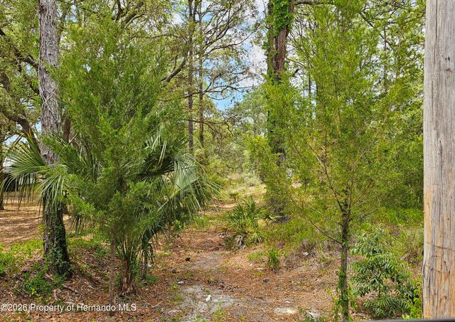 0 Song Sparrow Avenue, Weeki Wachee, FL 34614