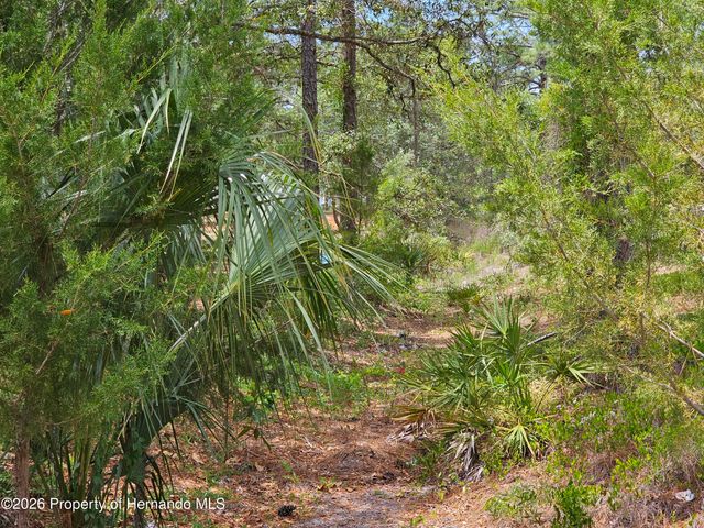 0 Song Sparrow Avenue, Weeki Wachee, FL 34614