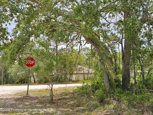 0 Song Sparrow Avenue, Weeki Wachee, FL 34614