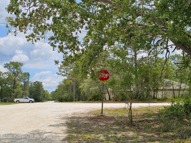 0 Song Sparrow Avenue, Weeki Wachee, FL 34614