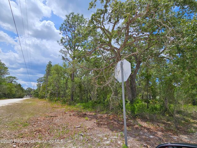 0 Song Sparrow Avenue, Weeki Wachee, FL 34614