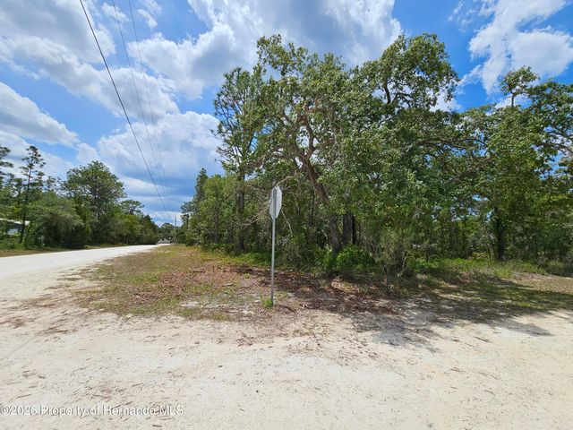0 Song Sparrow Avenue, Weeki Wachee, FL 34614