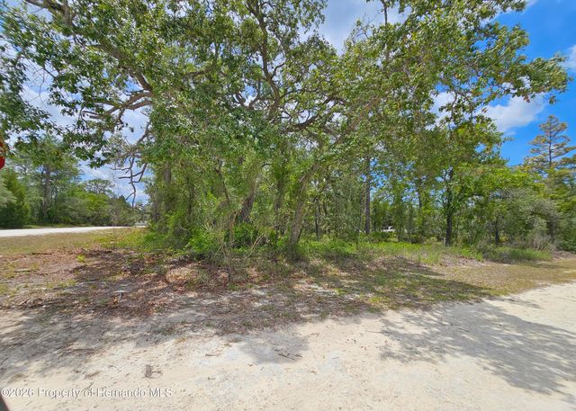 0 Song Sparrow Avenue, Weeki Wachee, FL 34614